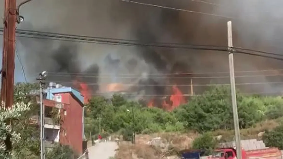Hatay'da bir günde dört orman yangını!