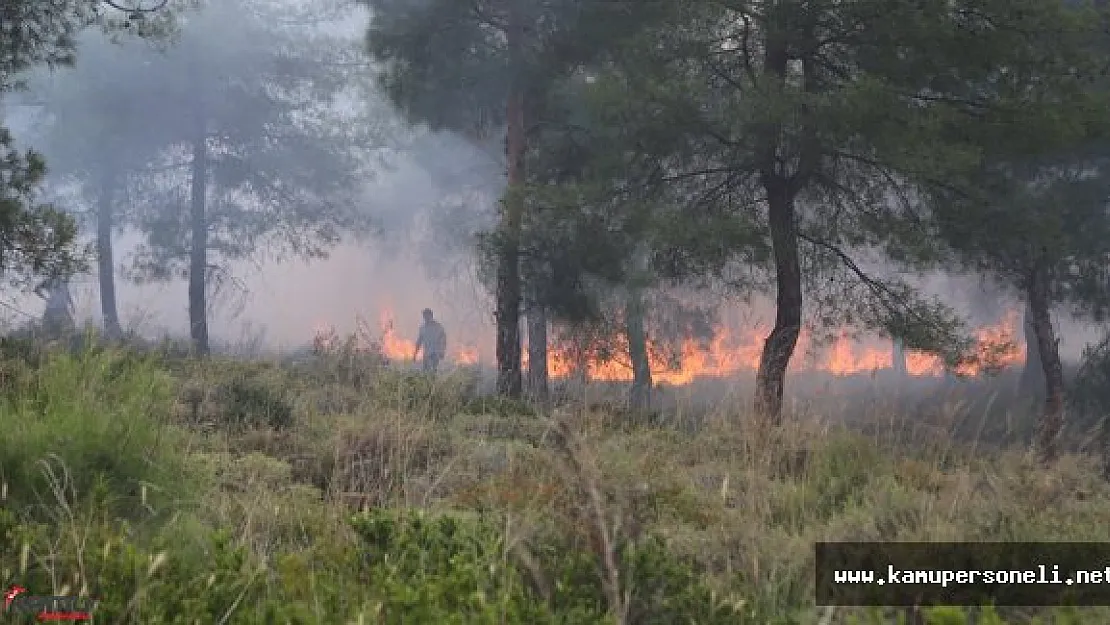 Hatay'da Orman Yangını ( Soğutma Çalışmaları Devam Ediyor)