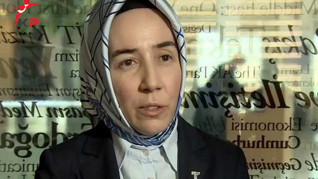 Hatice Karahan Cumhurbaşkanı Ekonomi Başdanışmanı Oldu