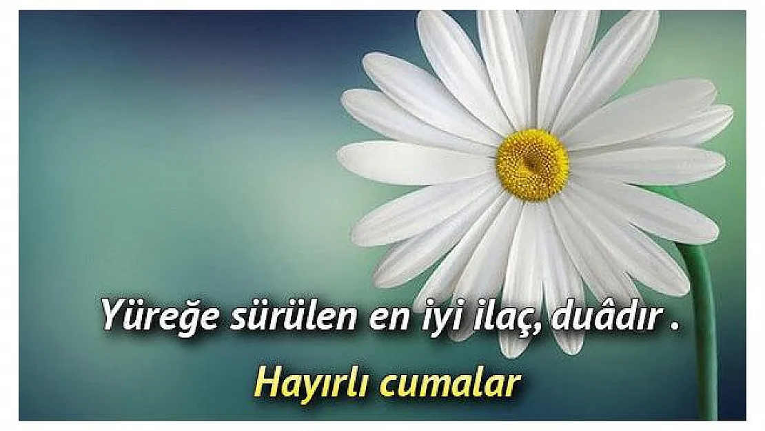 Hayırlı Cumalar! Sevdiklerinize en güzel Cuma mesajları! Kısa, anlamlı, güzel Cuma mesajları! WhatsApp Cuma mesajları!