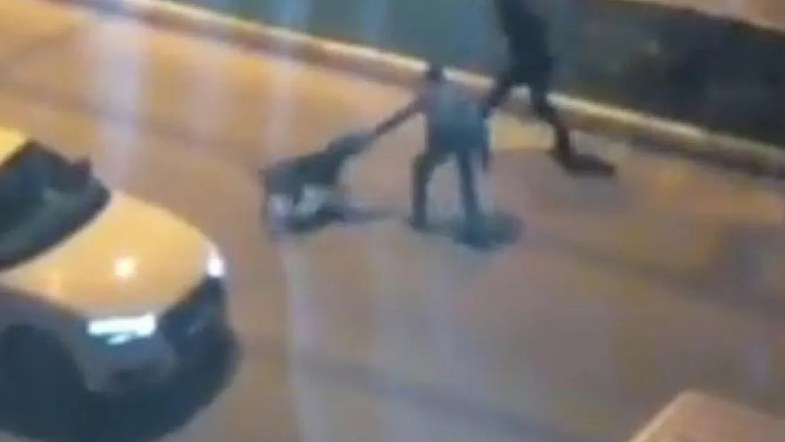 Hayvana Şiddet Bir Kez Daha Gözler Önünde! Sokak Köpeklerine İşkence Yaptılar!