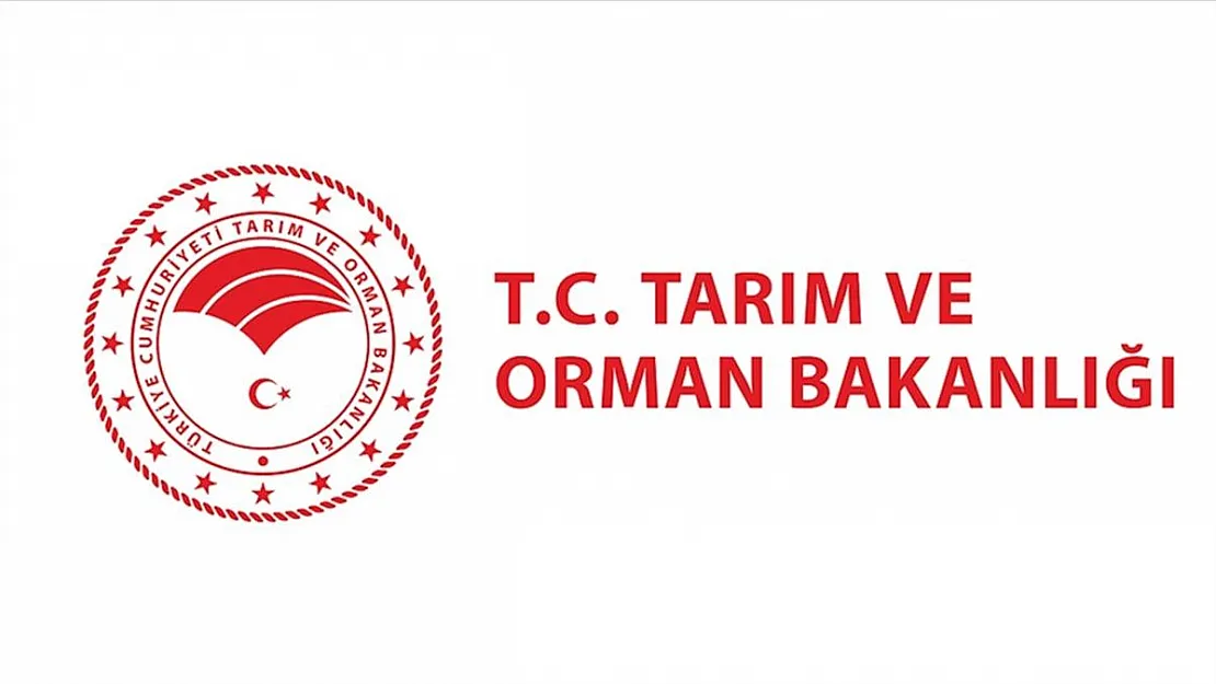 Hayvancılık Hibesi Alacaklara Uyarı! Açıklama Yapıldı
