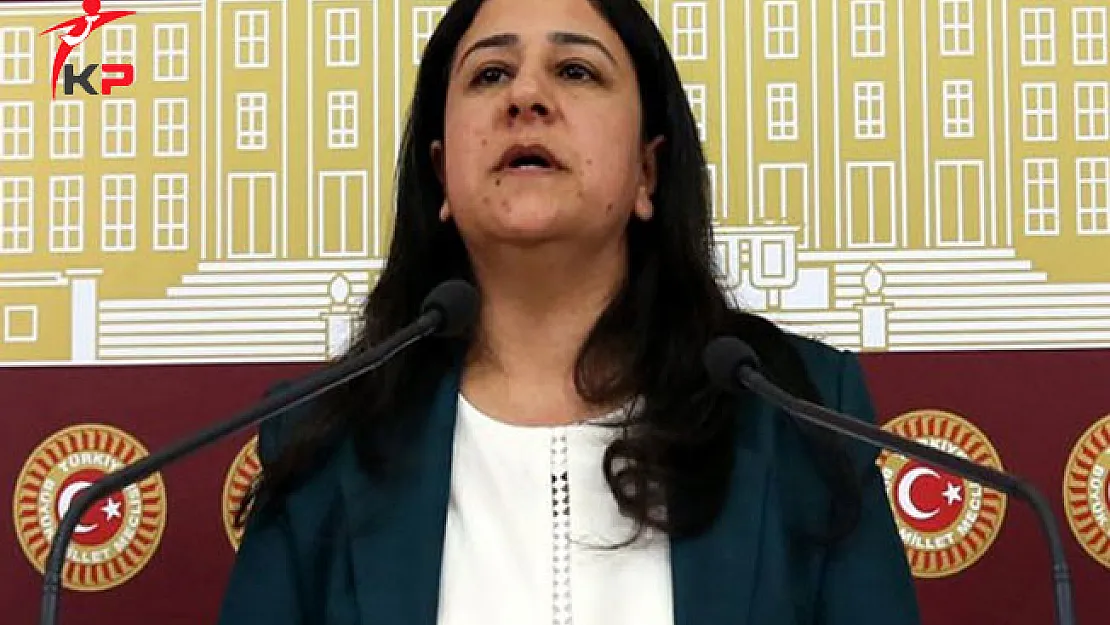 HDP Diyarbakır Milletvekili Çağlar Demirel Hakkında Mahkeme Kararı