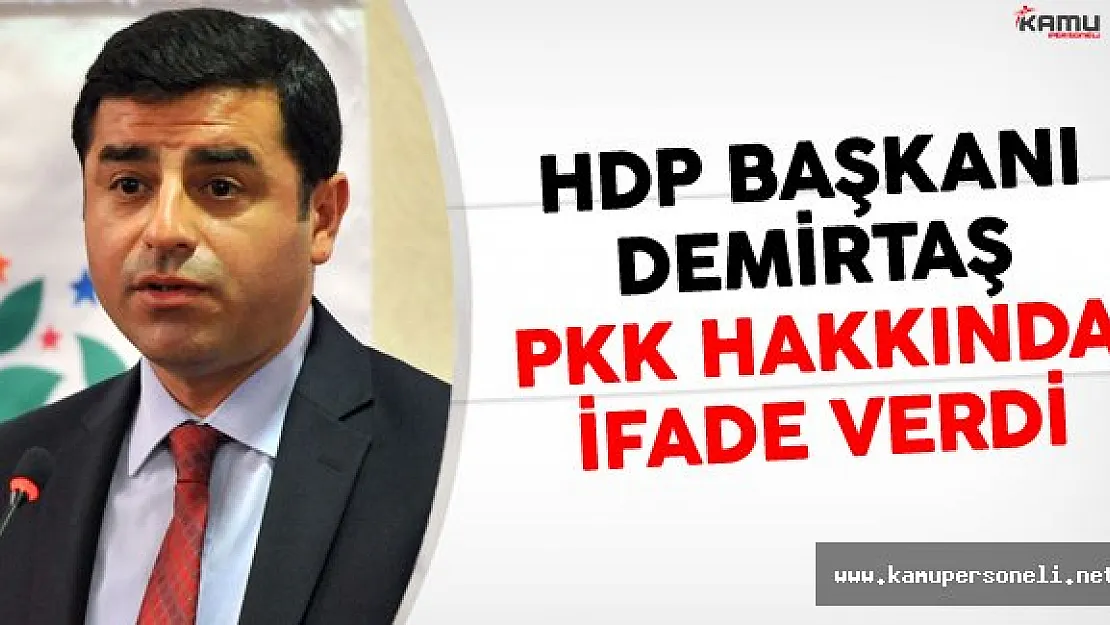 HDP Genel Başkanı Selahattin Demirtaş'tan PKK Hakkında İfade Verdi
