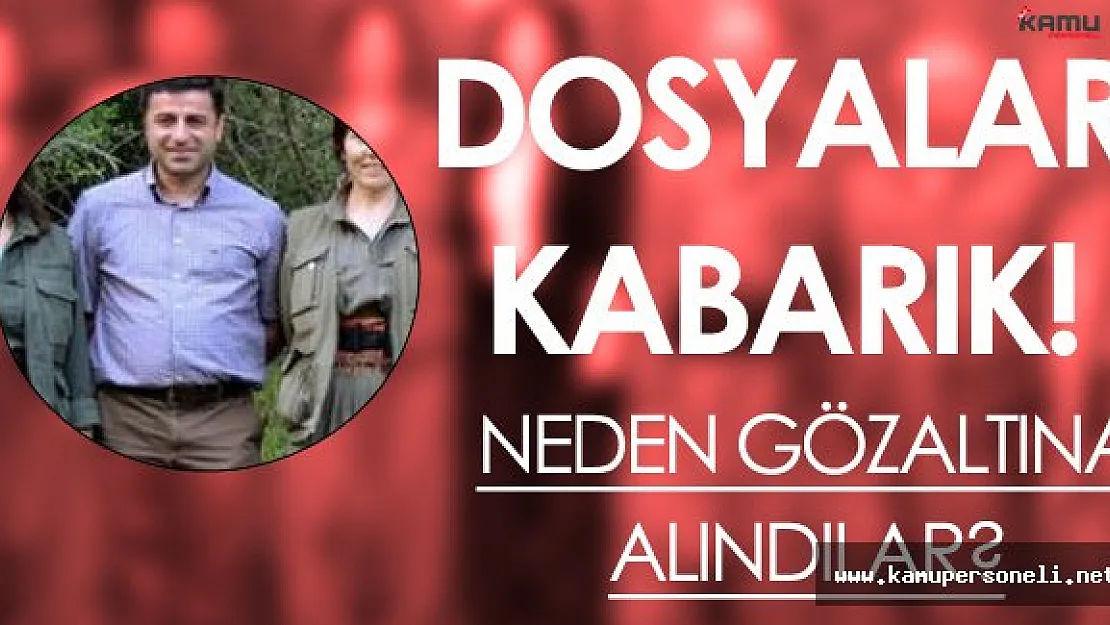 HDP Milletvekilleri Neden Gözaltına Alındı? (Dosyalar Kabarık ! İşte Detaylar)