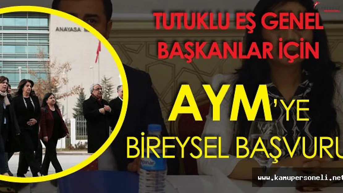 HDP'lilerden Tutuklu Eş Genel Başkanlar için Anayasa Mahkemesine Başvuru