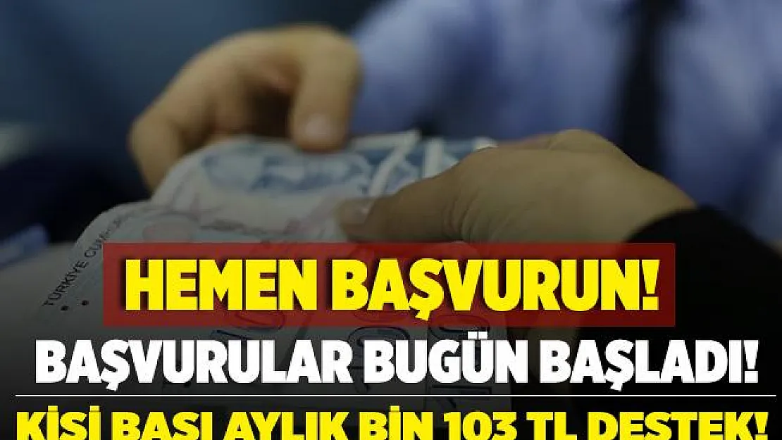 Hemen başvurun! Kişi başına aylık 1.103 TL destek ödemesi yapılacak! Başvurular bugün başladı!