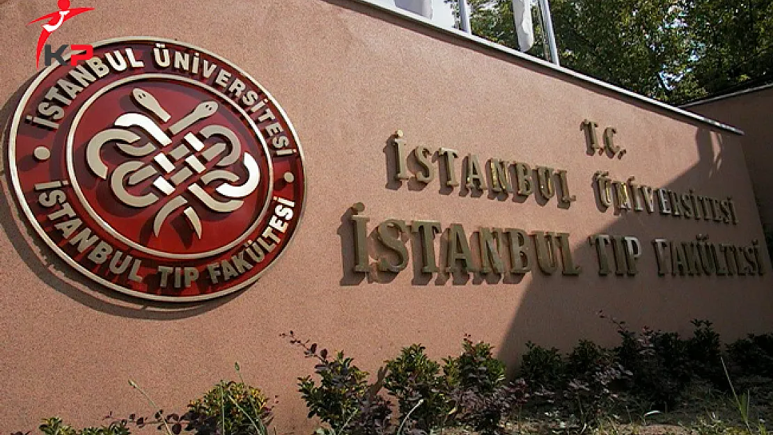 Hemşire Kamuya Ait Yatakhanede 2004'ten Beri Ailesini Barındırmış
