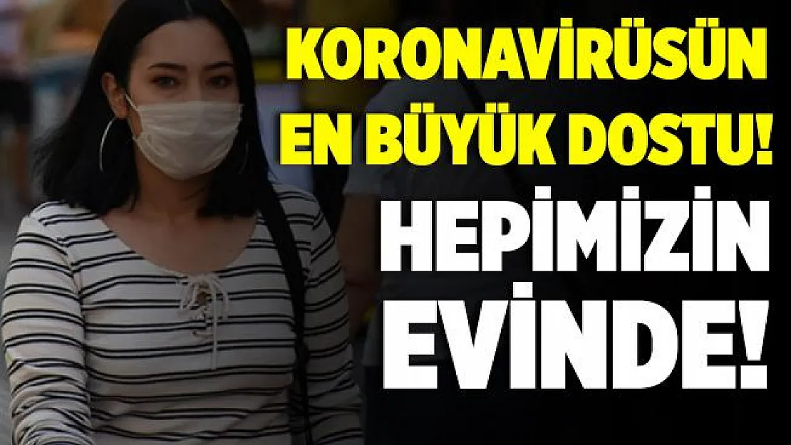 Hepimizin evinde var! Koronavirüsün en büyük dostu!