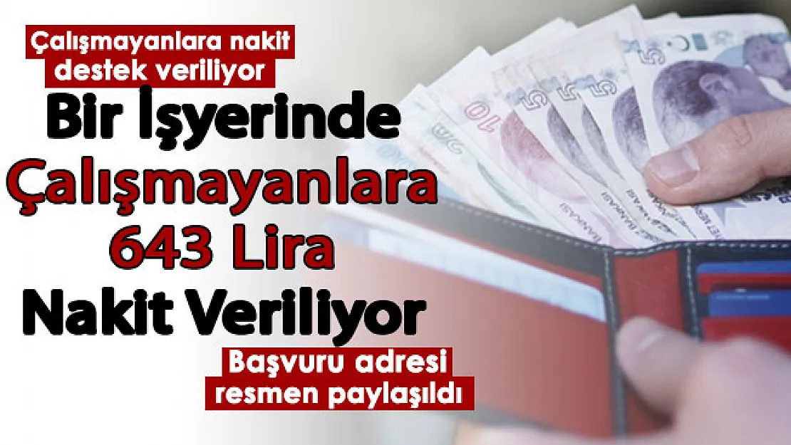 Herhangi bir işte çalışmayan vatandaşlara her ay 643 lira destek veriliyor! İşte başvuru adresi
