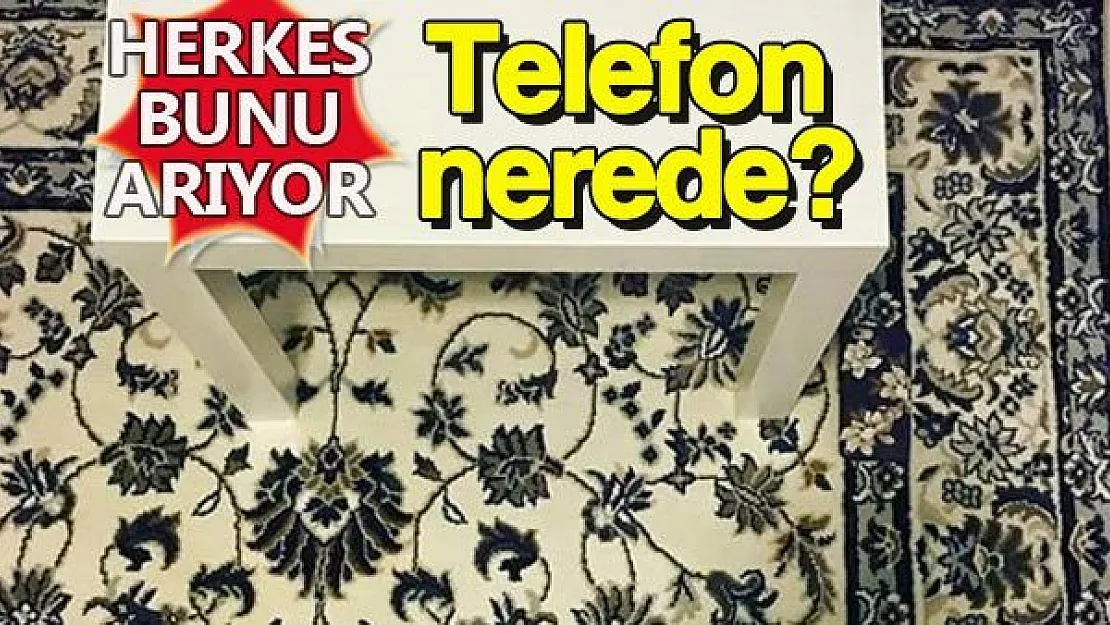 Herkes arıyor ama bulunamıyor: Halının üzerindeki telefon kılıfını kimse göremiyor!