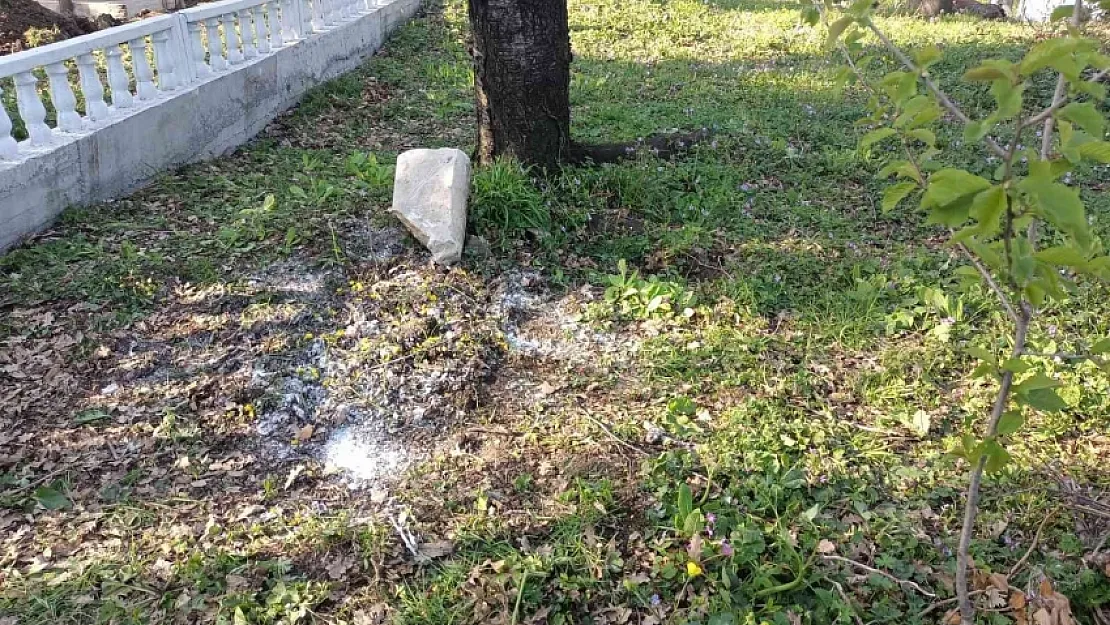 Herkes Bebek Gömüyorlar Zannetmişti! Gerçeği Polis Ekipleri Ortaya Çıkardı