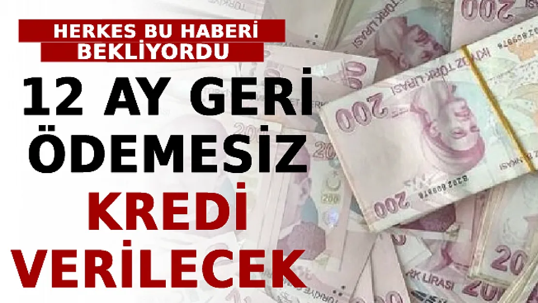 Herkes Bu Haberi Bekliyordu! 12 Ay Geri Ödemesiz Kredi Verilecek