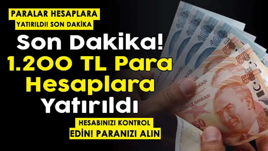 Herkes hesabına baksın: Paralar hesaplara yatırıldı! 1.200 TL destek ödemesi yapıldı