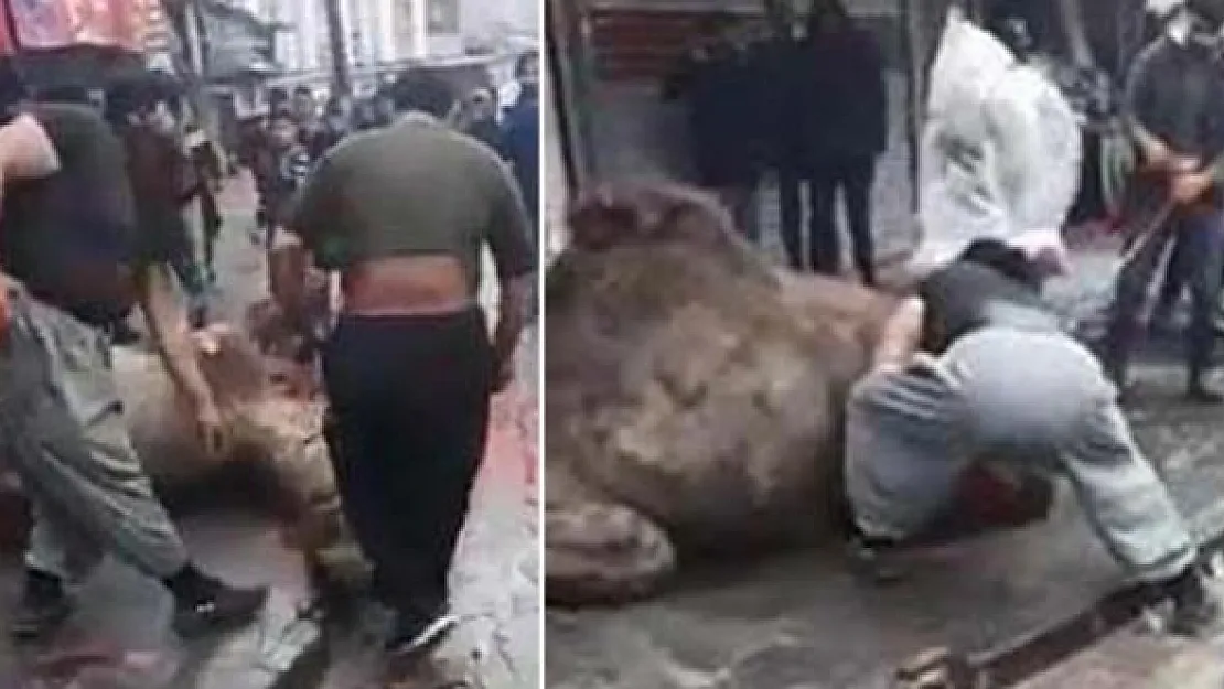 Herkes şok oldu! Sokak kan gölüne döndü