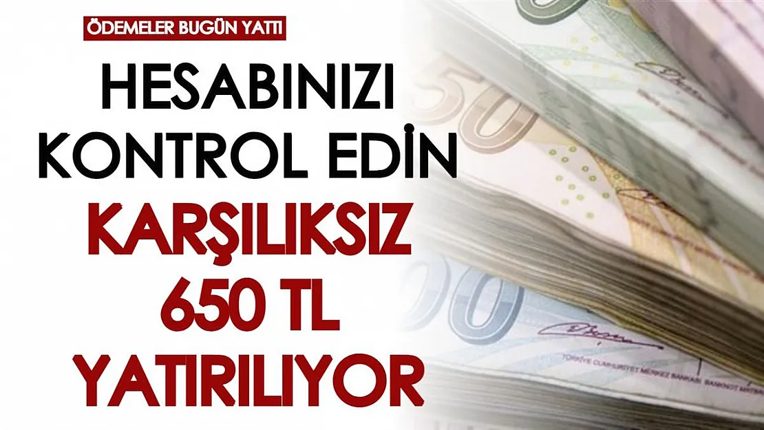 Hesaplarınızı kontrol edin! Bugün devlet tarafından karşılıksız 650 TL hesaplara yatırılıyor