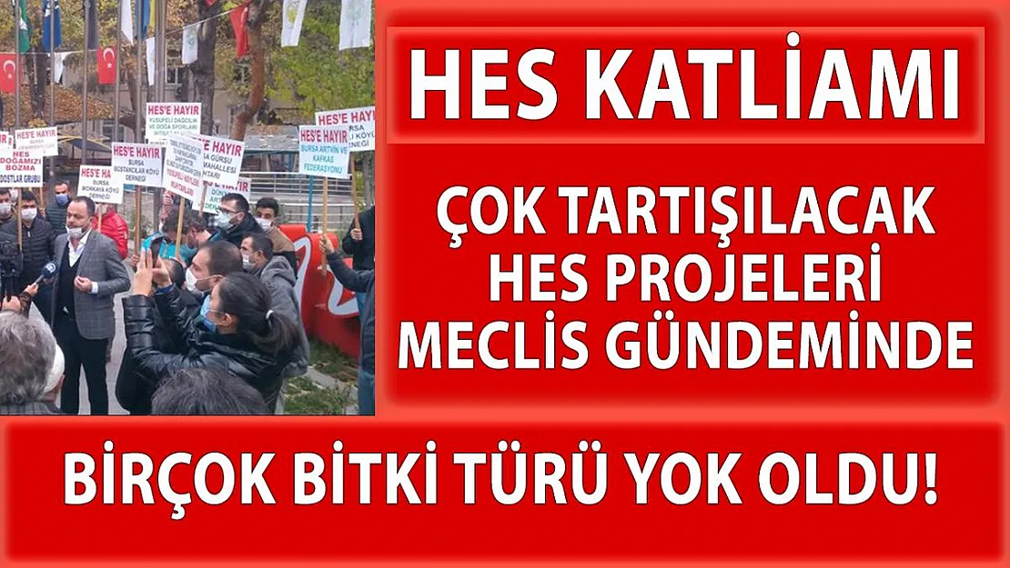 HES'ler hakkında korkunç gerçekler! Çığ gibi büyüyen HES projelerinin doğa verdiği tahribat meclis gündemine getirildi!