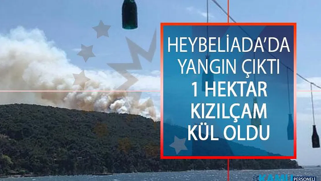 Heybeliada'da Yangın Çıktı! 1 Hektar Kızılçam Kül Oldu!