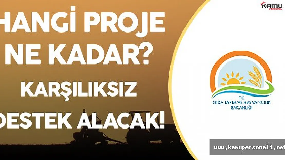 Hibe Tutarları Belli Oldu !  (Hangi Projeye Ne Kadar Destek Verilecek?)