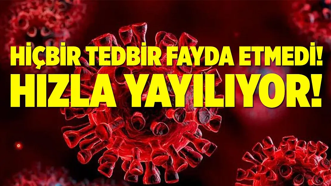 Hiçbir tedbir fayda etmedi! Hızla yayılıyor!