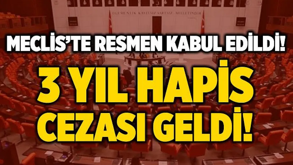 Hobi bahçesi yapanlara 3 yıl hapis cezası geliyor!