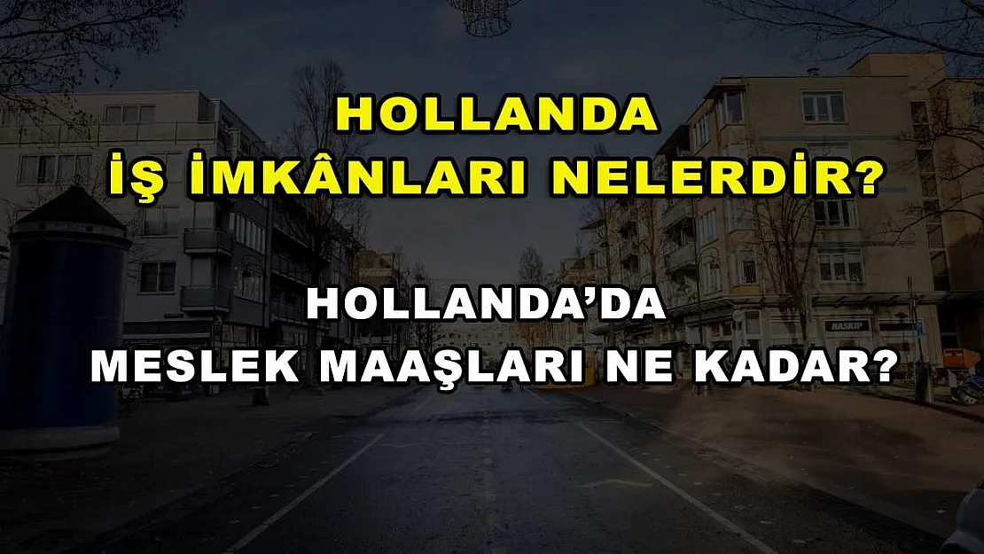 Hollanda İş İmkanları Nelerdir? Hollanda'da Meslek Maaşları Ne Kadar?