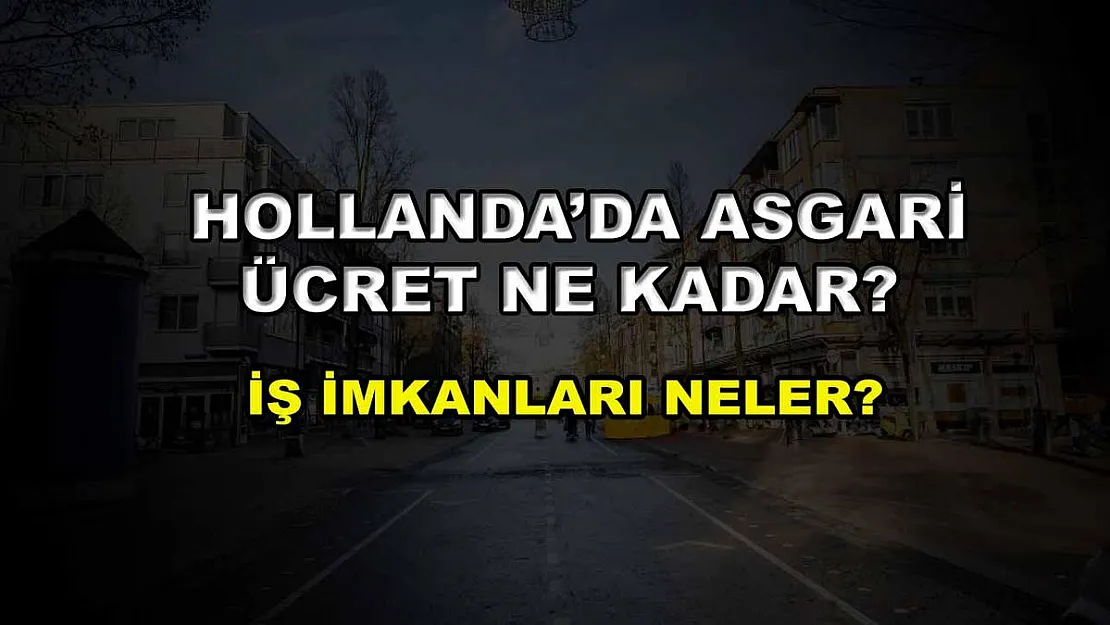 Hollanda'da Asgari Ücret Ne Kadar? İş İmkanları Neler?