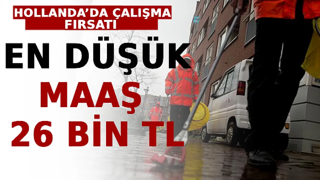 Hollanda'da Çalışma Fırsatı: En Düşük Maaş 26 Bin TL