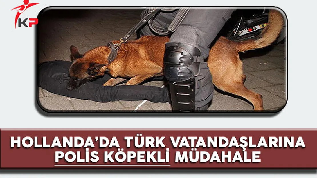 Hollanda'da Türk Vatandaşlarına Polis Köpekleri İle Müdahale