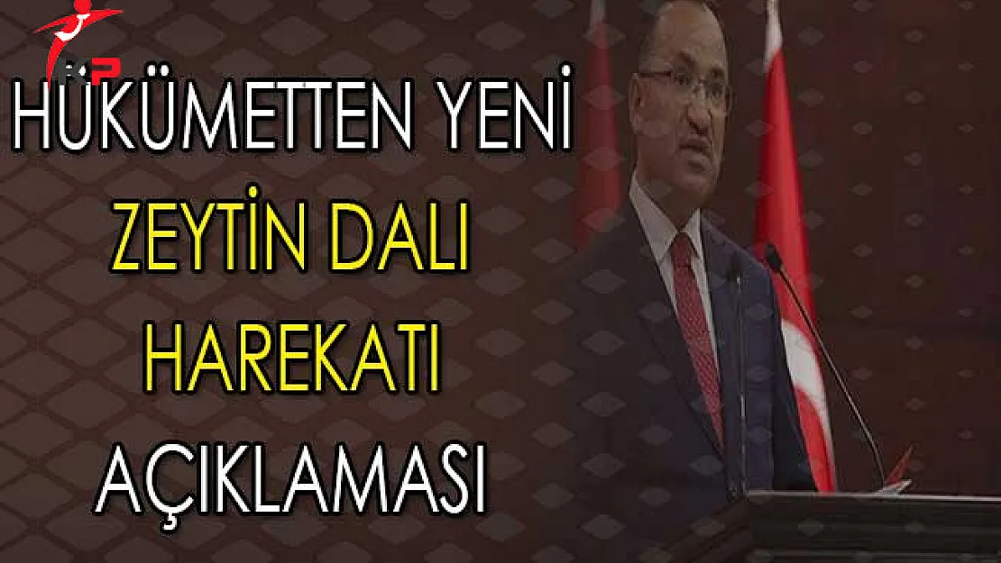 Hükümetten Yeni Zeytin Dalı Harekatı Hakkında Açıklama