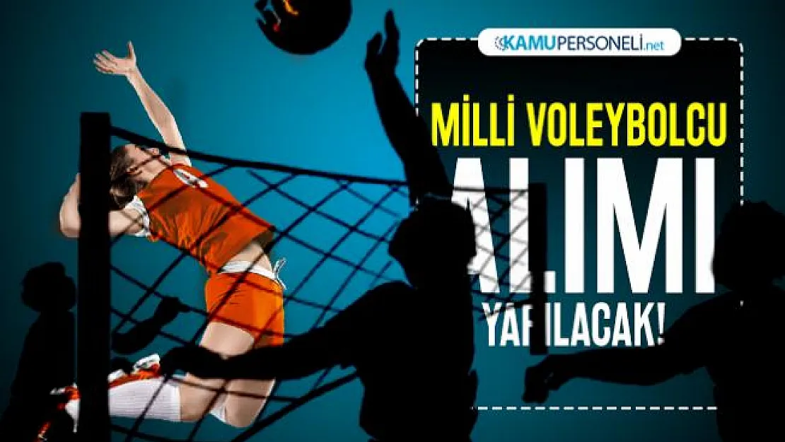 İBB bünyesinde görev yapacak milli voleybolcu alımı yapılacak! Başvuru şartları açıklandı