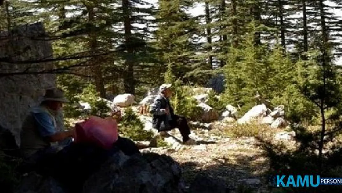 İbradı Belediye Başkanı Serkan Küçükkuru, ağaç katliamına dikkat çekmek için bölge halkını eyleme çağırdı.