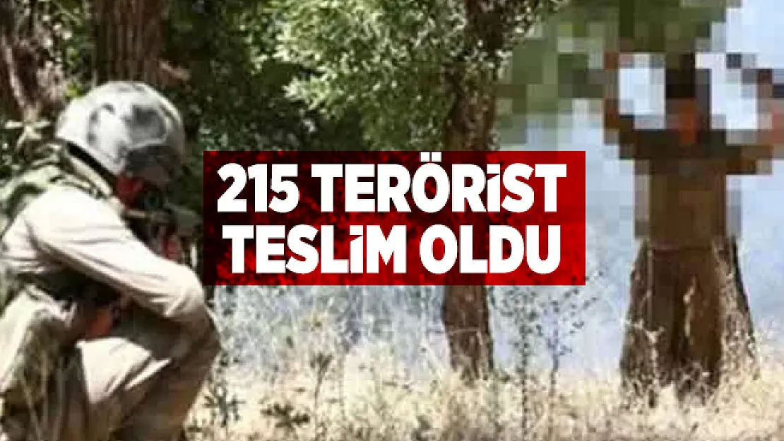 İçişleri Bakanlığı açıkladı! 215 terörist teslim oldu