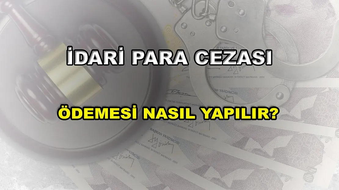 İdari Para Cezası Ödeme Nasıl Yapılır?