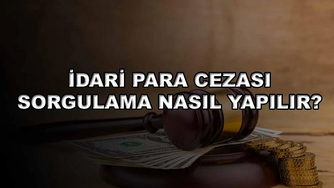 İdari Para Cezası Sorgulama Nasıl Yapılır?