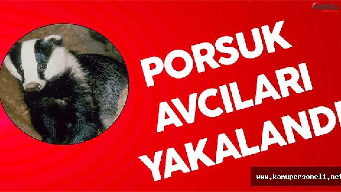 Iğdır'da Porsuk Avcıları Kıskıvrak Yakalandı