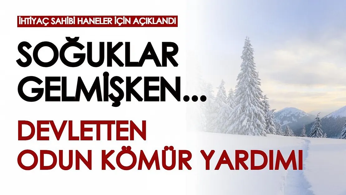 İhtiyaç sahibi hanelere devletten kış desteği! Ücretsiz olarak odun ve kömür yardımı yapılıyor