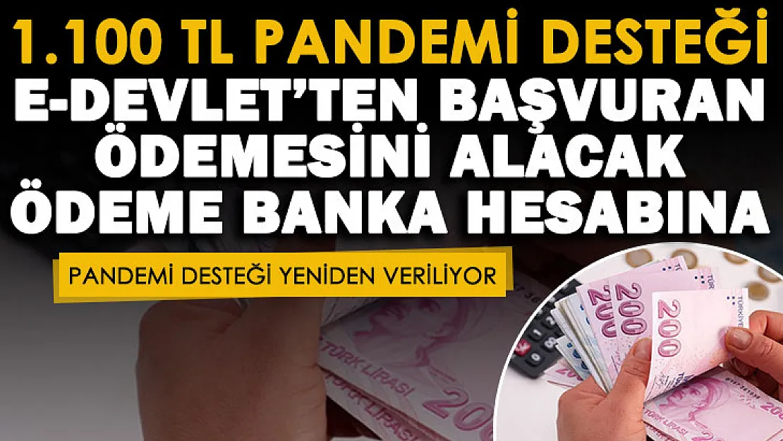 İhtiyaç sahibi vatandaşlara e-Devlet'ten başvuru yapılarak 1.100 TL pandemi desteği veriliyor