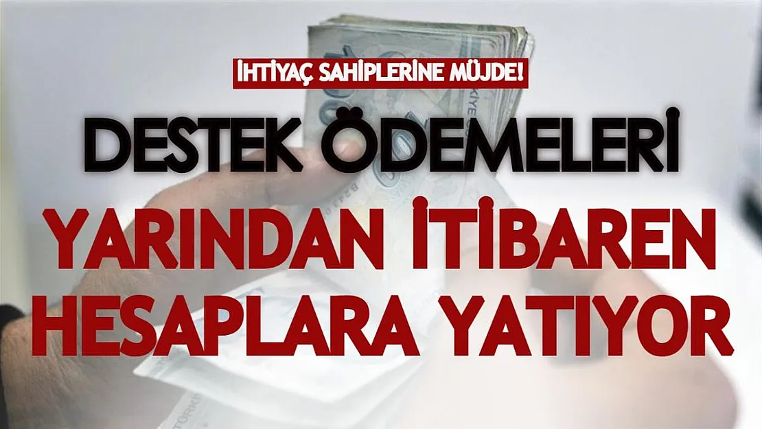 İhtiyaç sahiplerine müjde! Destek ödemeleri yarından itibaren hesaplara yatıyor