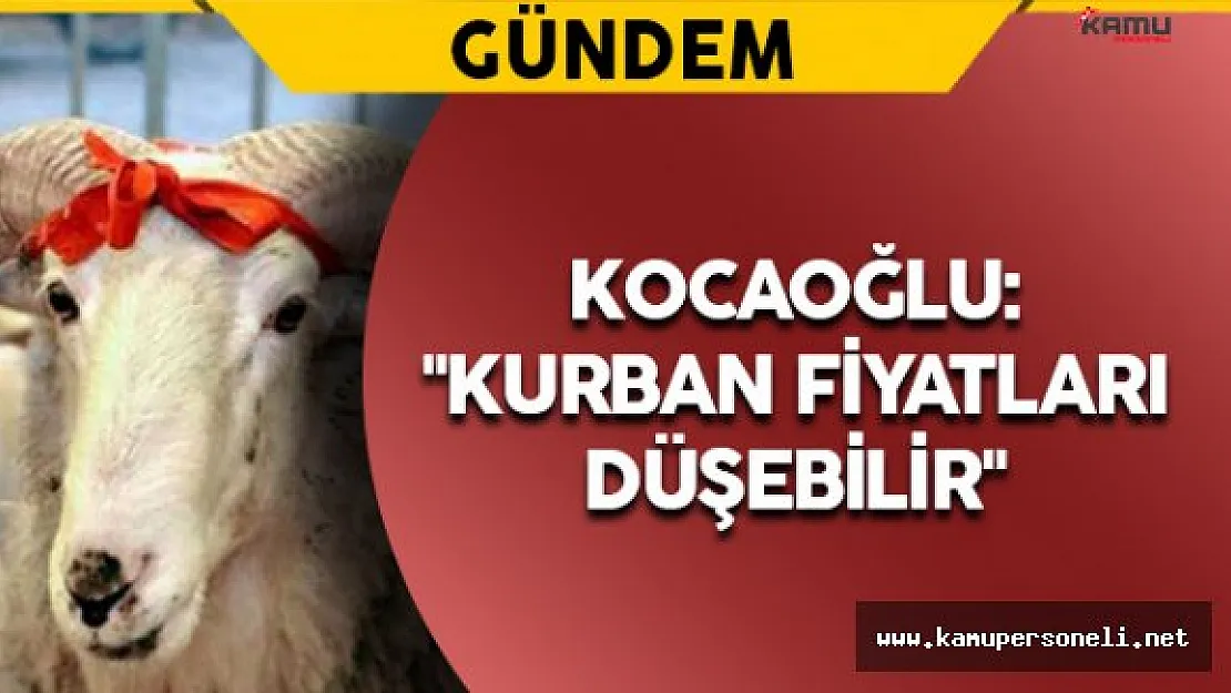 İKEO Başkan Yardımcısı Kocaoğlu: &quotKurban Fiyatları Düşebilir"