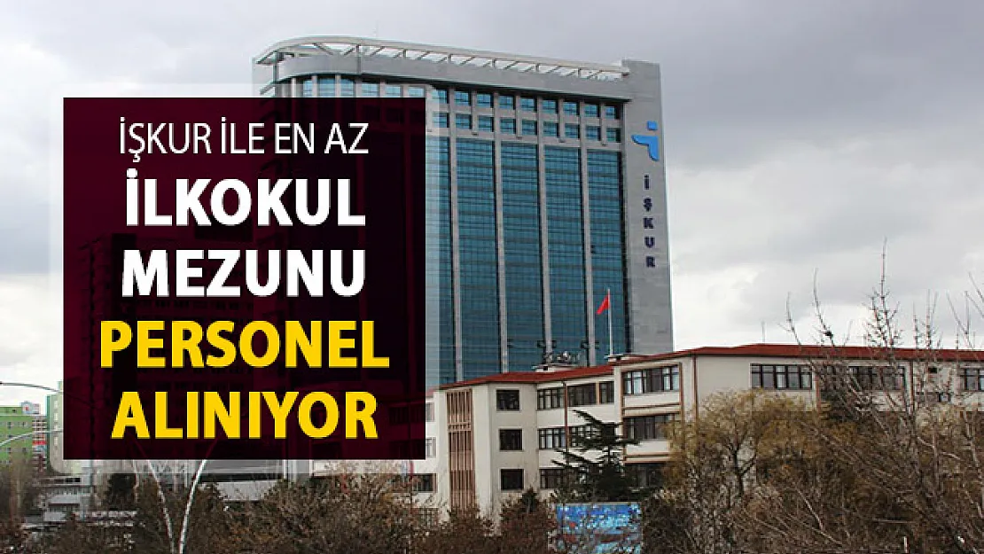 İlan İŞKUR'da Yayımlandı! En Az İlkokul Mezunu Kamu Personeli Alımı Yapılıyor