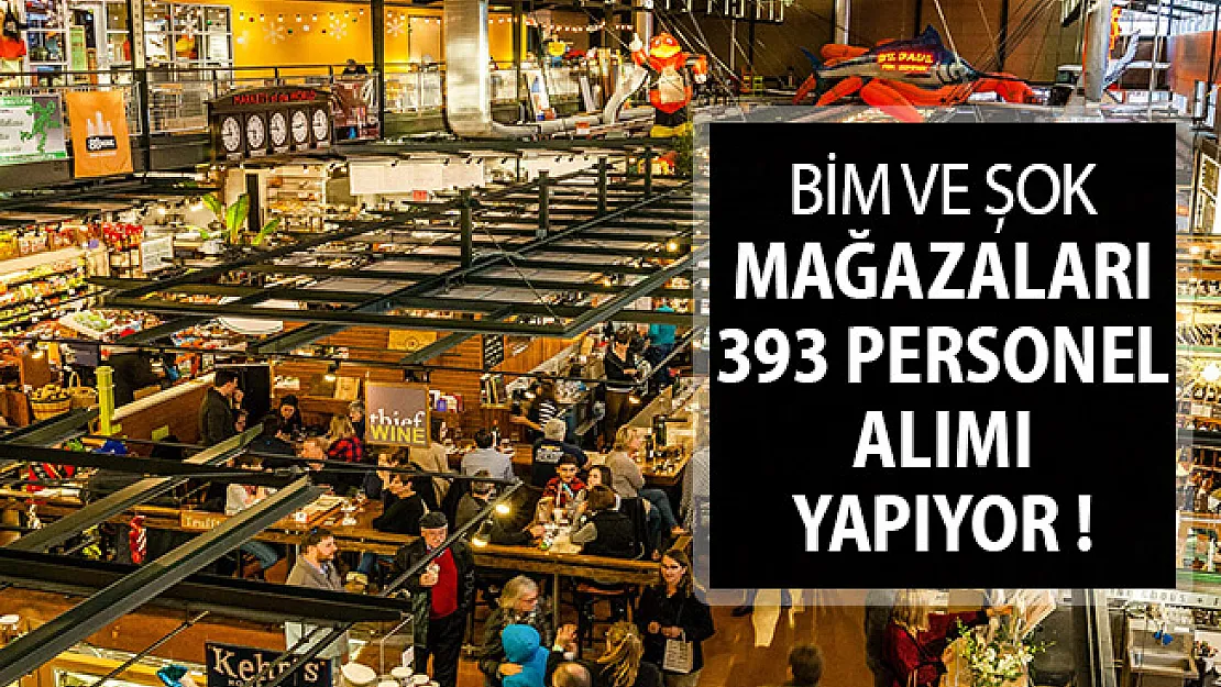 İlanlar İŞKUR Üzerinden Yayımlandı ! BİM ve Şok Mağazalarına 393 Personel Alınıyor