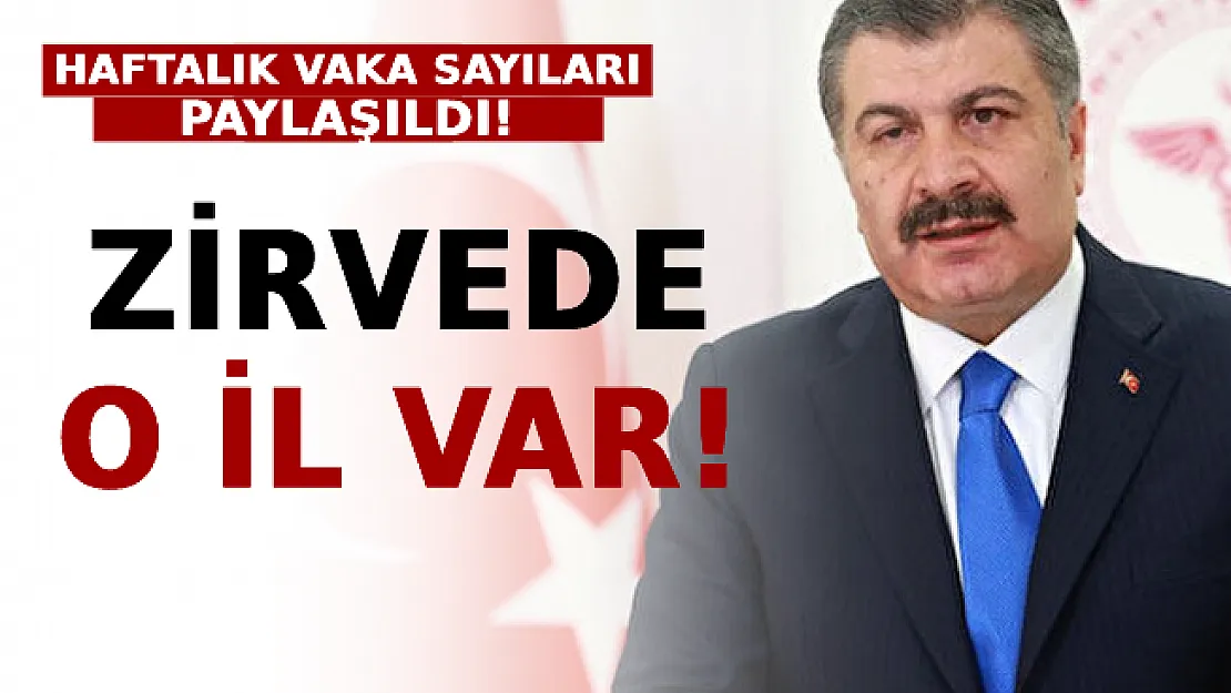 İllere Göre Haftalık Vaka Sayıları Paylaşıldı: Zirvede O İl Var!