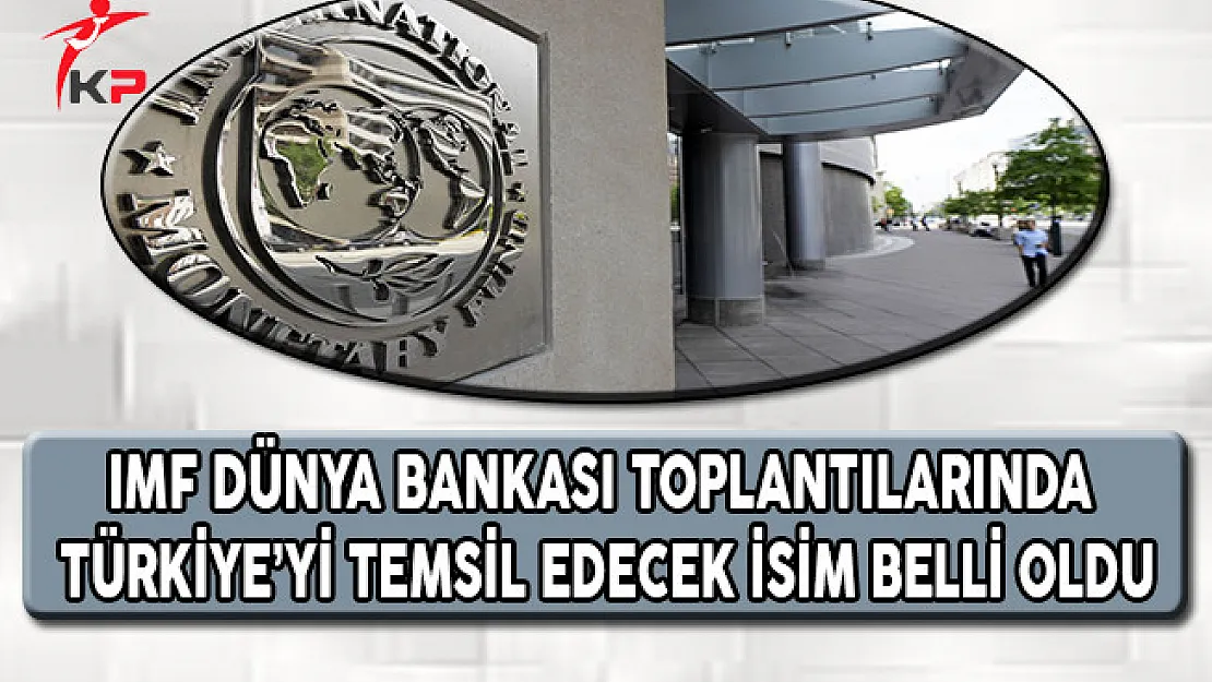 IMF Dünya Bankası Toplantılarında Türkiye'yi Temsil Edecek İsim Belli Oldu