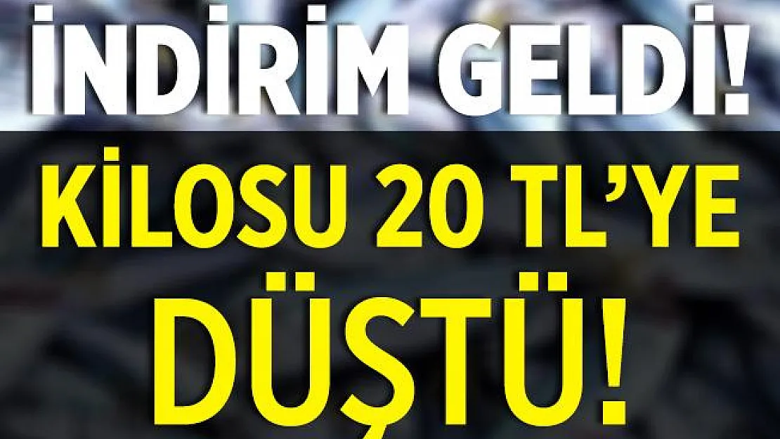 İndirim geldi! Kilosu 50 TL'den 20 TL'ye düştü!