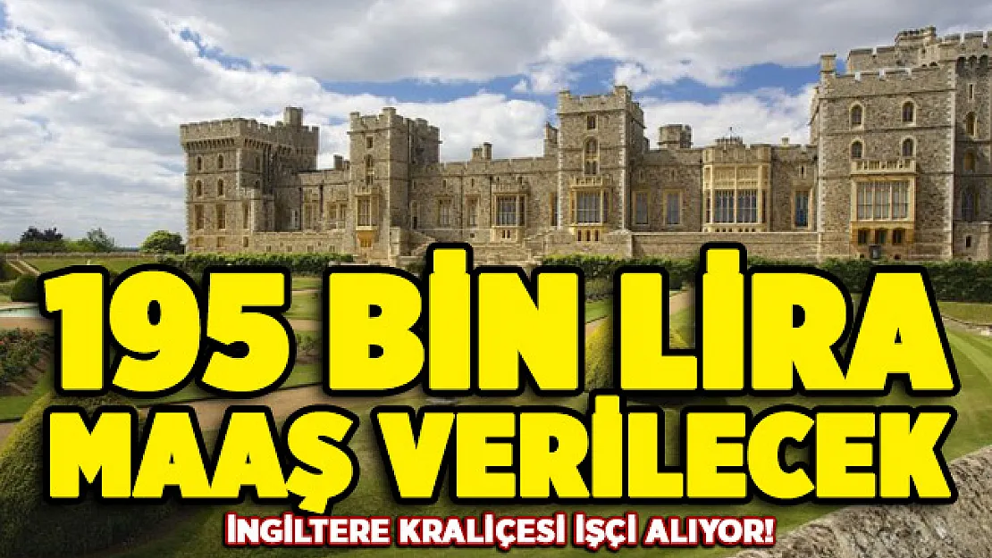 İngiltere Kraliçesi ilan yayımladı! 195 bin lira maaş verilecek