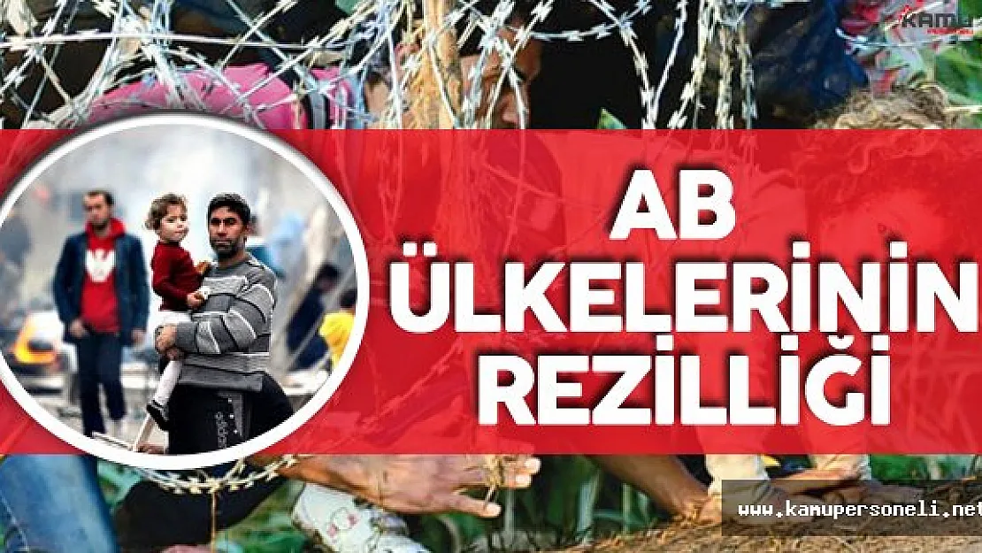 İnsancıl Avrupa Ülkeleri Bakın Ne Kadar Mülteciye Kucak Açmış !