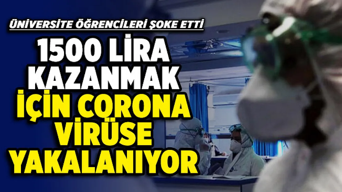 İş arayan üniversite öğrencileri şoke etti! 1500 TL Para kazanmak için bilerek koronavirüse yakalanıyorlar