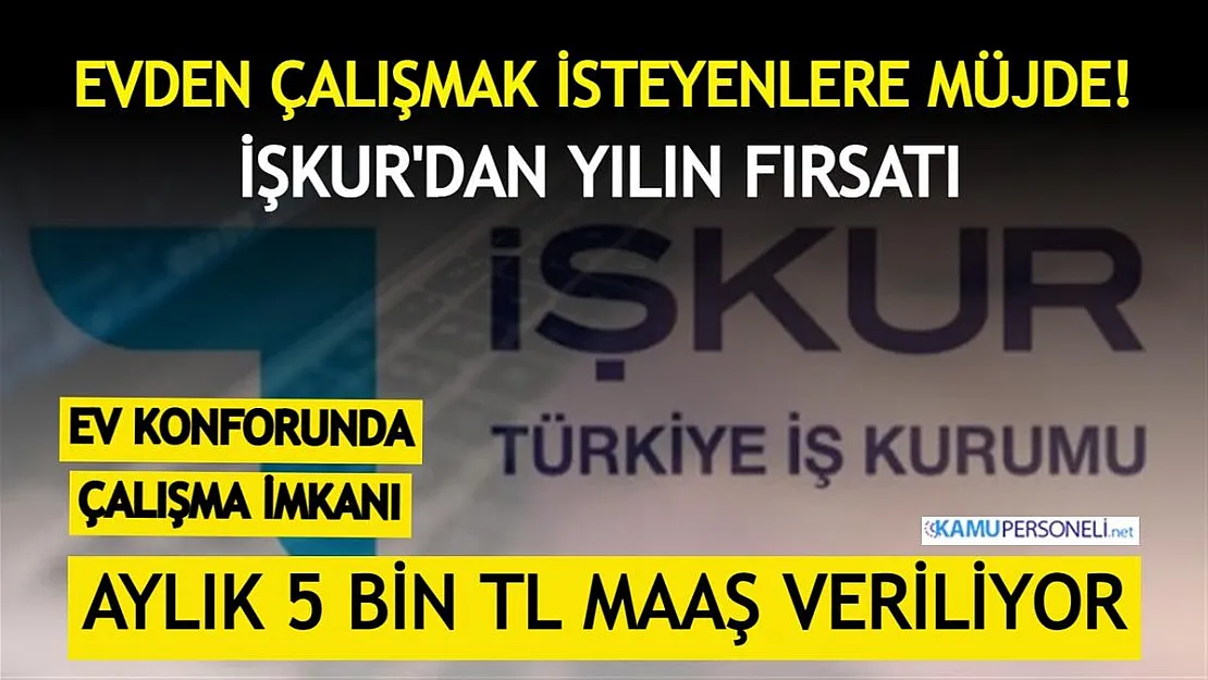 İş arayanlara İŞKUR'dan yılın fırsatı! Her ay 5 bin TL'ye kadar maaş ödenecek, evden çalışabilirsiniz