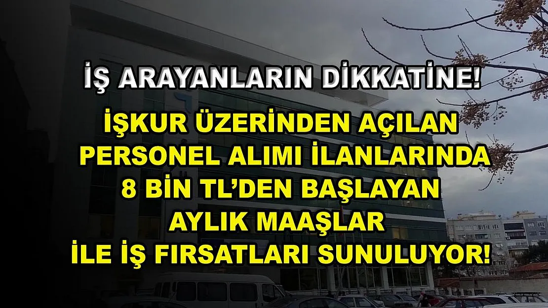 İş Arayanların Dikkatine! İŞKUR Üzerinden Açılan Personel Alımı İlanlarında 8 Bin TL'den Başlayan Aylık Maaşlar ile İş Fırsatları Sunuluyor!